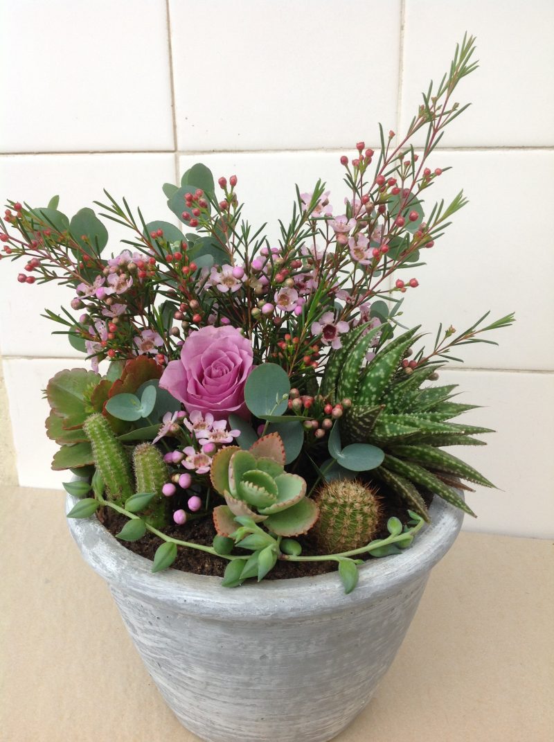 Succulent & Floral Cement Planter 2