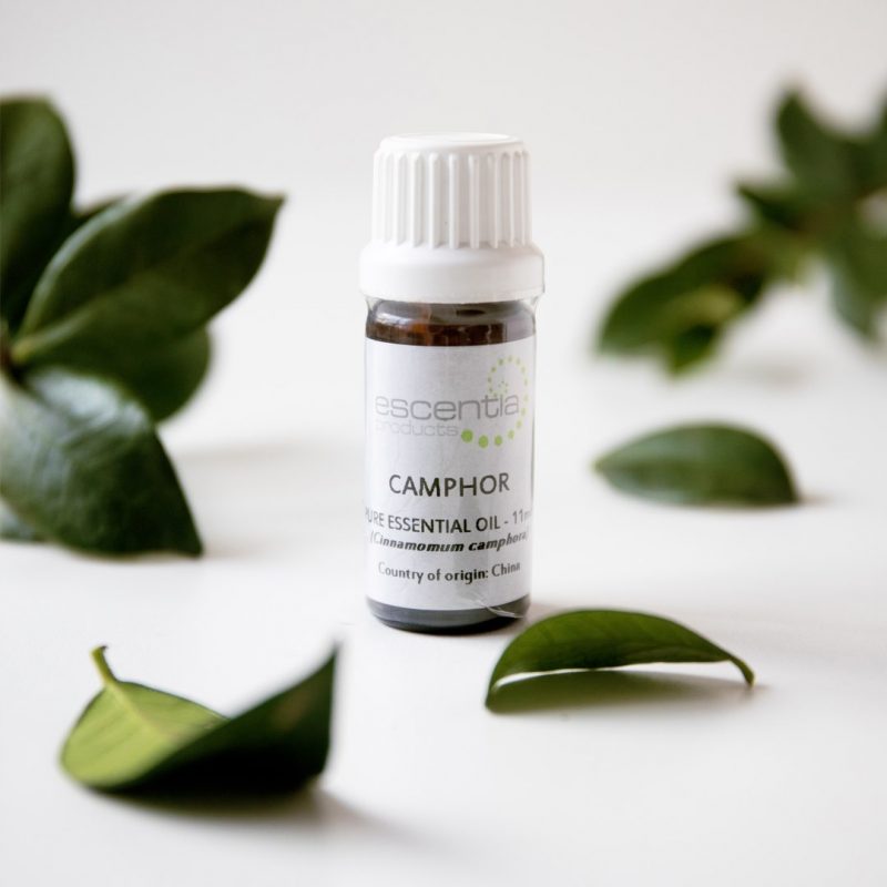 Escentia Pure Camphor Essential Oil