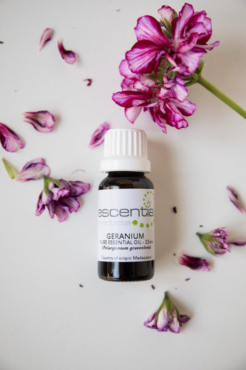 Escentia Pure Geranium Essential Oil